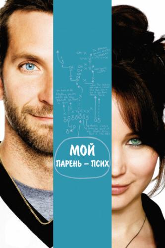     / Silver Linings Playbook (2012)