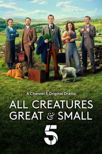     -    / All Creatures Great and Small (2020)